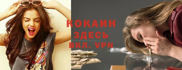 гидра Липки