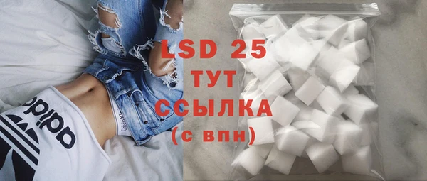 гидра Липки
