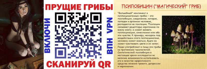 Купить Белёв Галлюциногенные грибы мухоморы